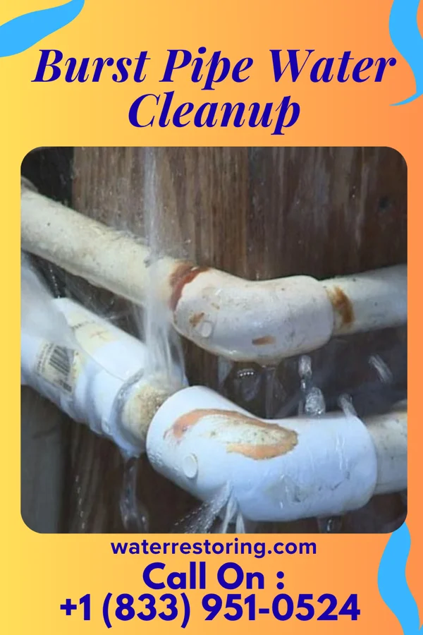 Burst Pipe Water Cleanup in Kremlin, OK